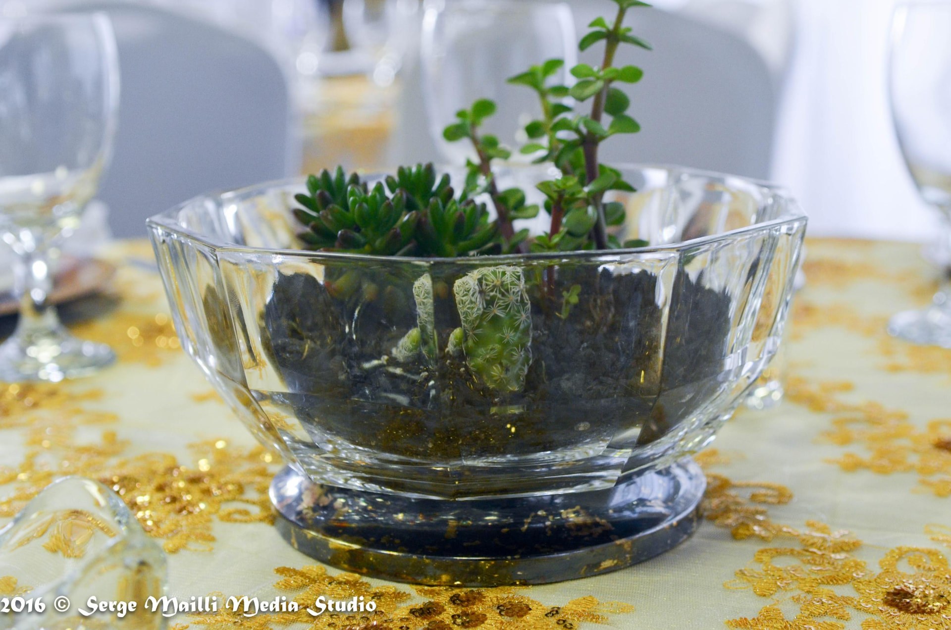 Close-up of a handmade cactus and succulent terrarium centerpiece in a faceted glass bowl